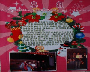 我校高2008级力燕同学获青少年科技创新奖